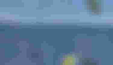 WOO_PT_26_Jamie_thub_
