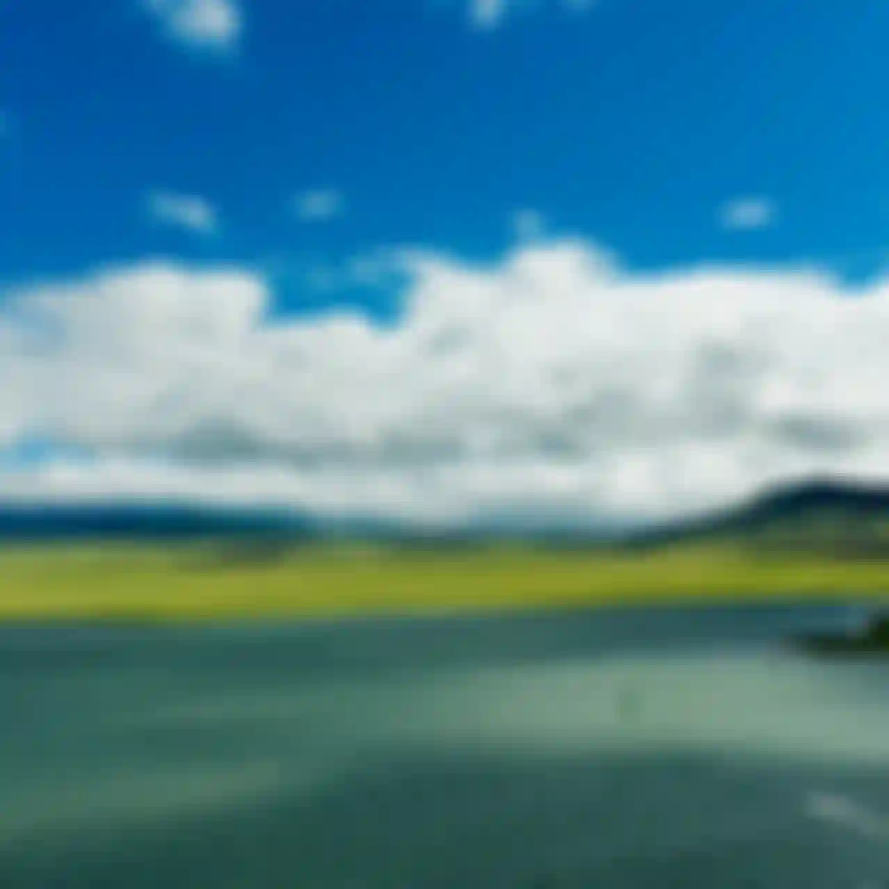 montana