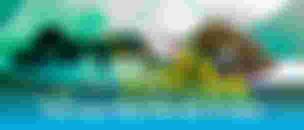 WOO_HANDLE_header