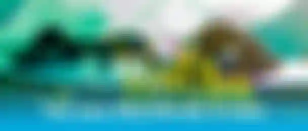 WOO_HANDLE_header