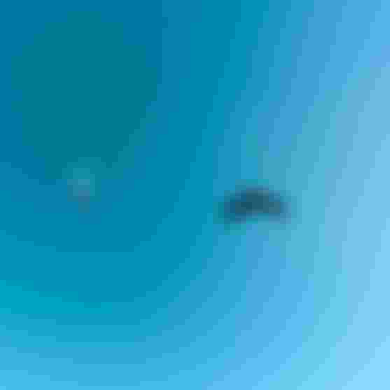 WOO_PT_26_Clement_thub_sq