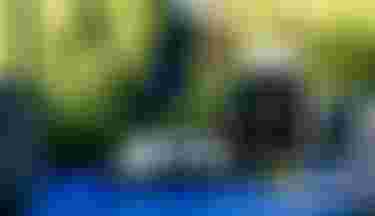 KM_WOO_SPORTS_WATCHES_003